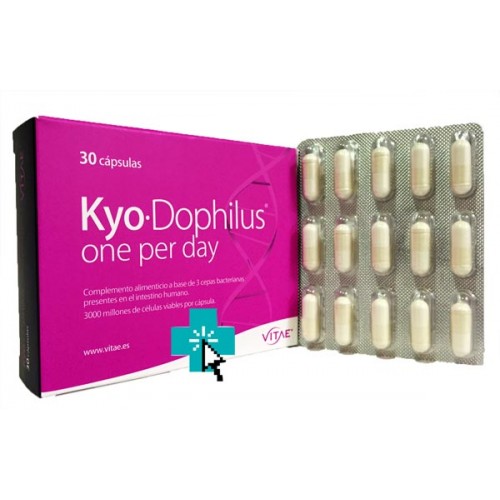 Kyo Dophilus one per day